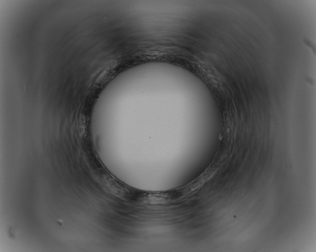 X0000092010758200709061309