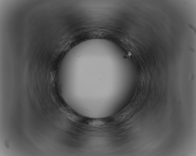 X0000092010759200709061309