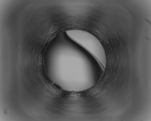 X0000092010760200709061309