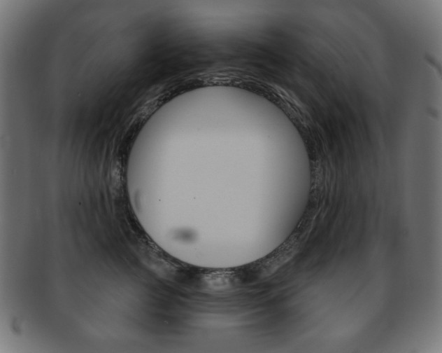 X0000092010761200709061309