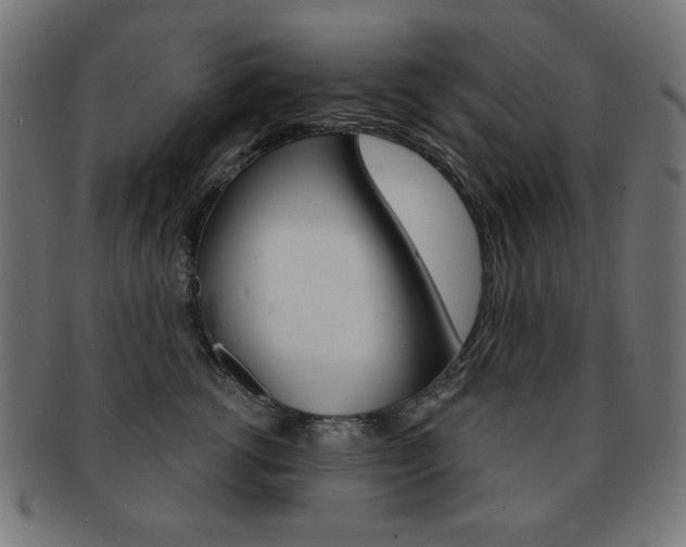 X0000092010762200709061309