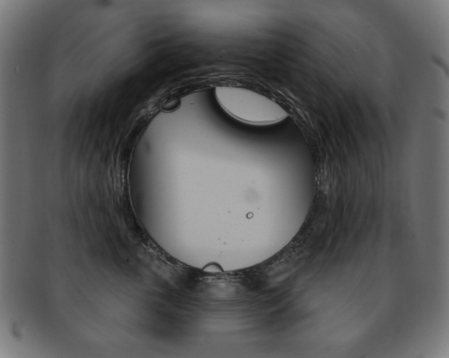 X0000092010763200709061309