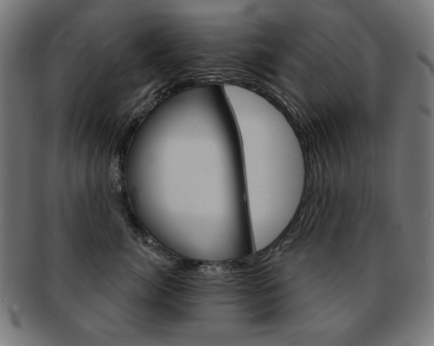 X0000092010764200709061309