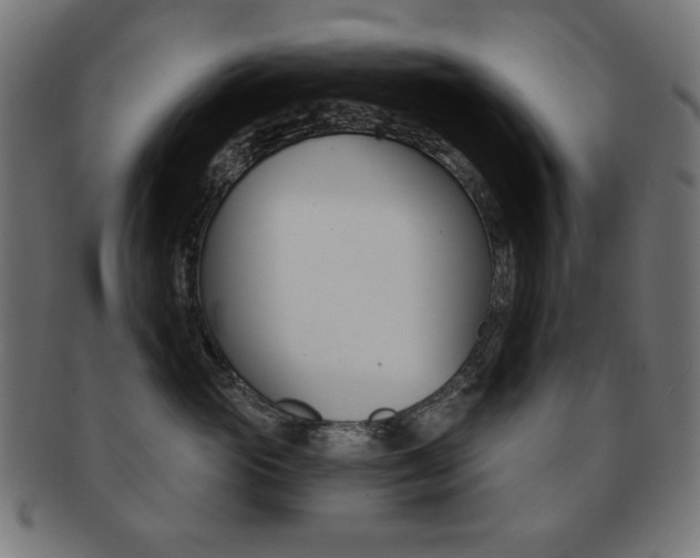 X0000092010765200709061309