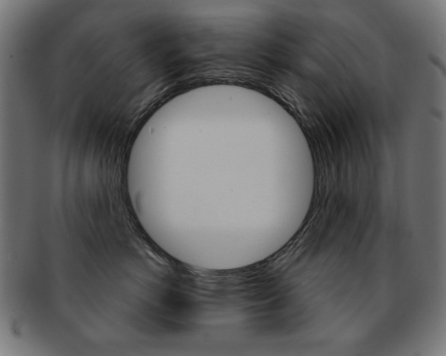 X0000092010766200709061309