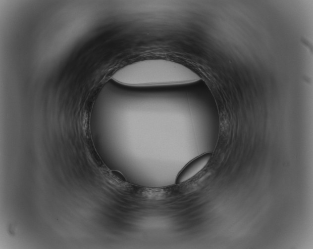 X0000092010767200709061309