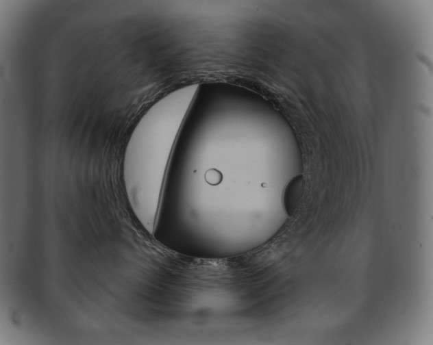 X0000092010768200709061309