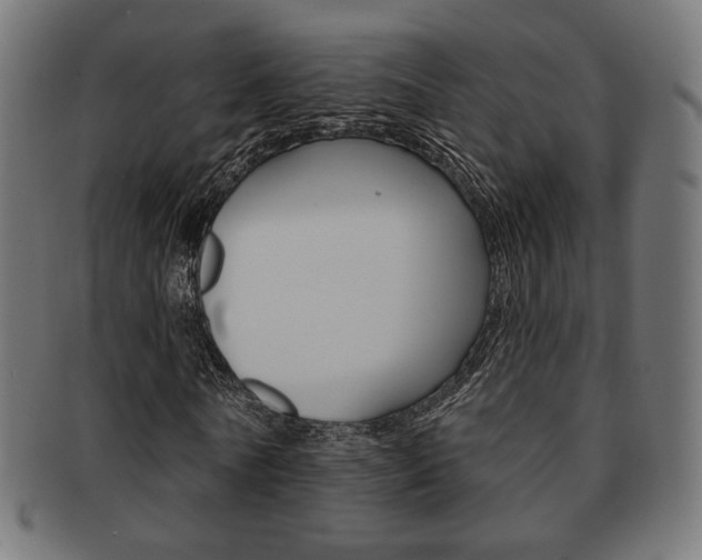 X0000092010770200709061308