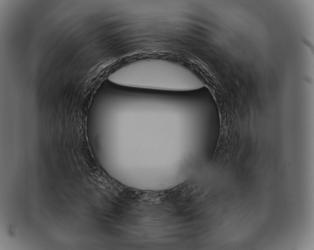 X0000092010773200709061308