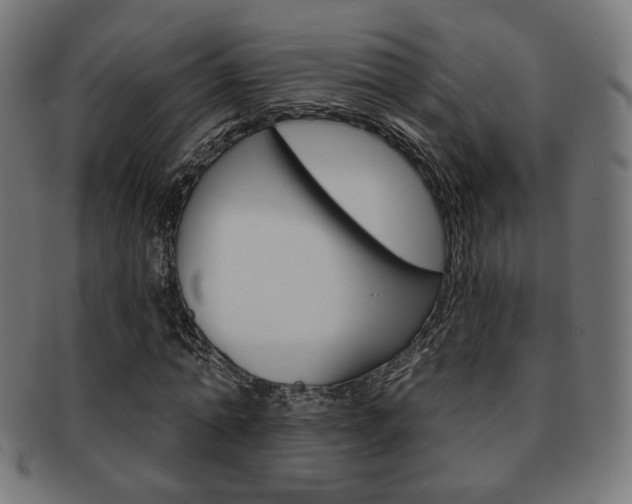 X0000092010774200709061308
