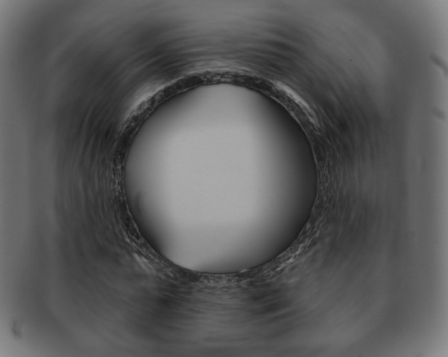 X0000092010775200709061308