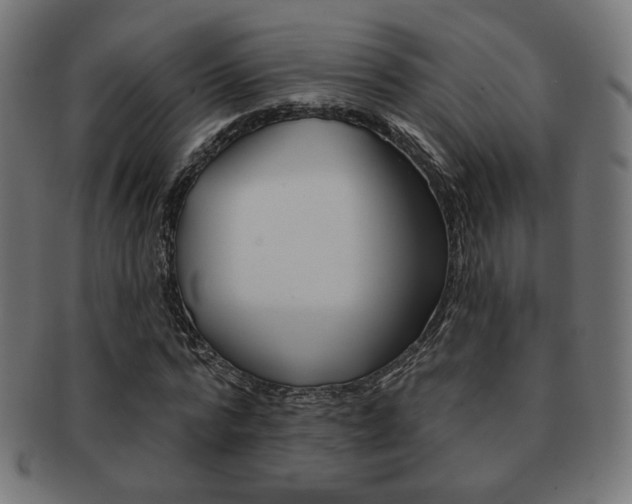 X0000092010776200709061308