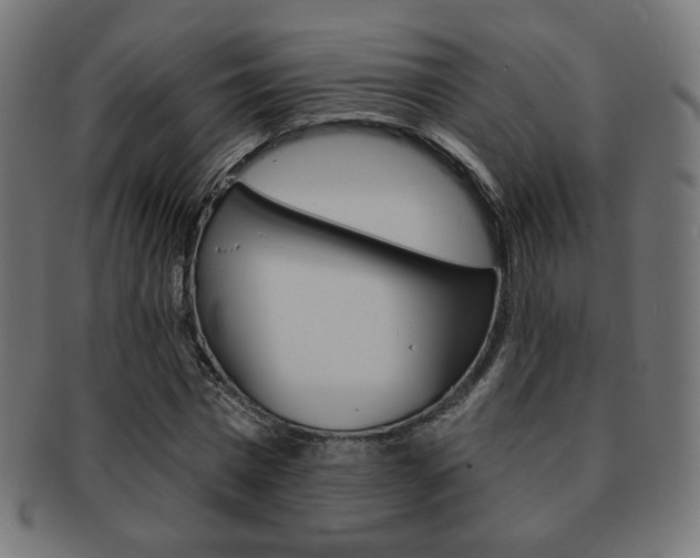 X0000092010777200709061308