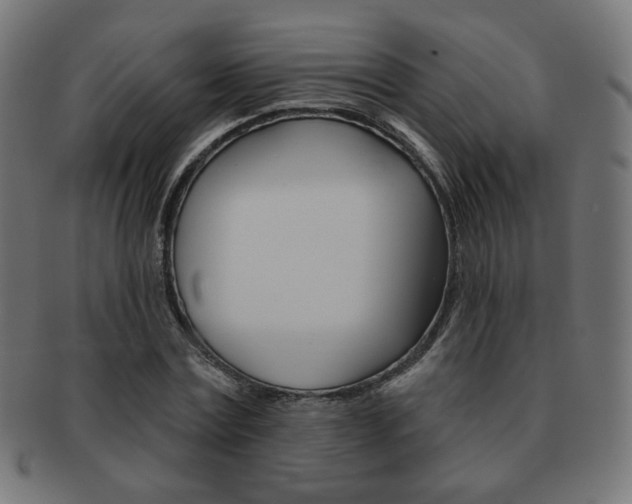 X0000092010779200709061308