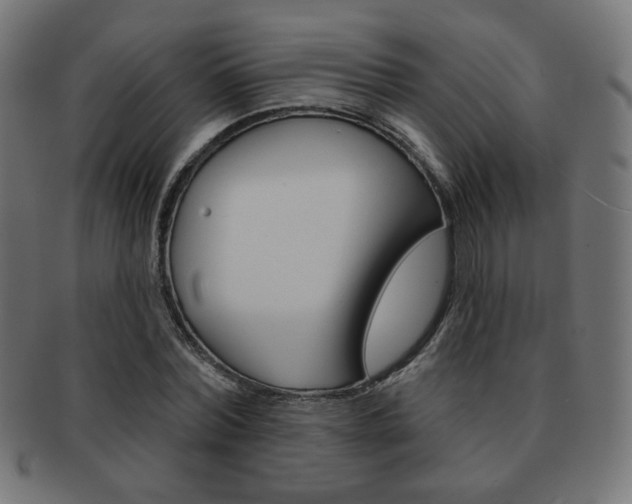 X0000092010780200709061308