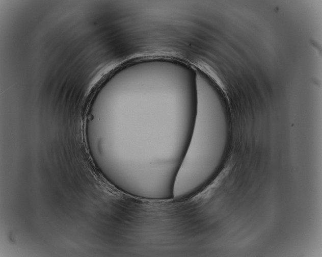 X0000092010781200709061308