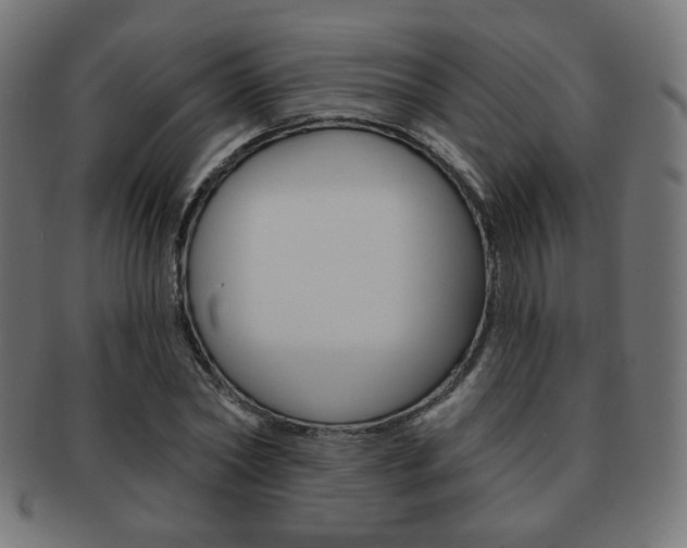 X0000092010782200709061308