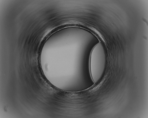 X0000092010783200709061308
