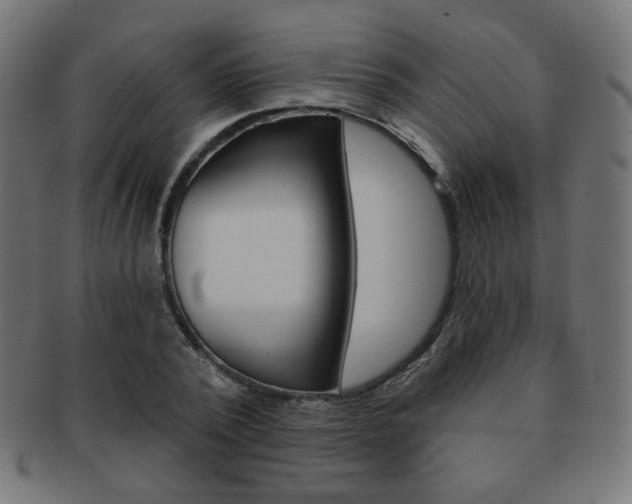 X0000092010784200709061308
