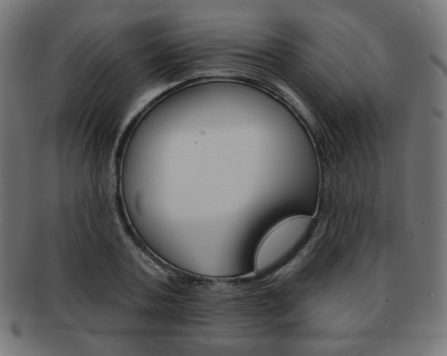 X0000092010787200709061308