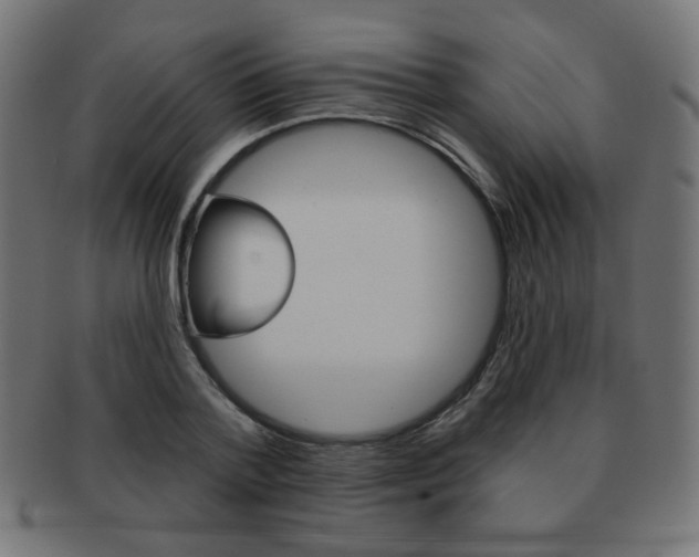 X0000092010788200709061308