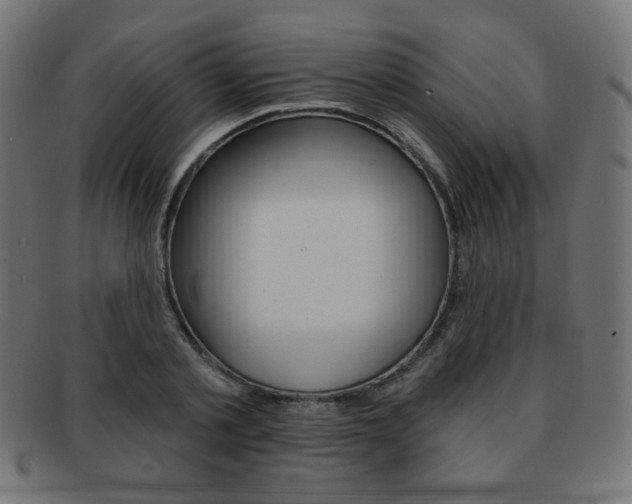 X0000092010789200709061308