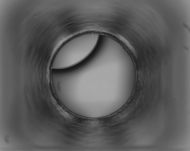X0000092010791200709061308