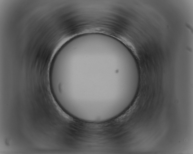 X0000092010792200709061308