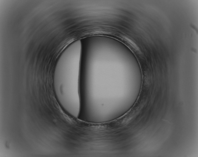 X0000092010793200709061308