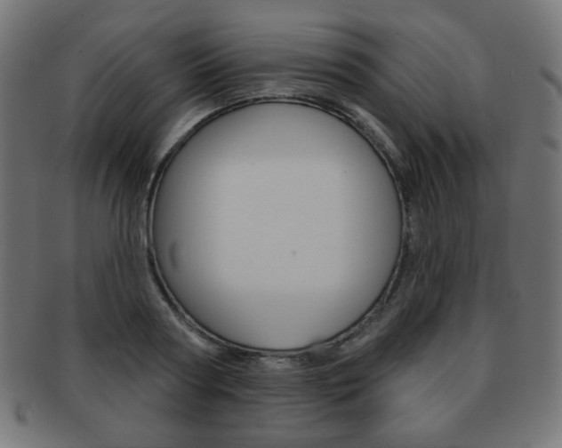 X0000092010794200709061308