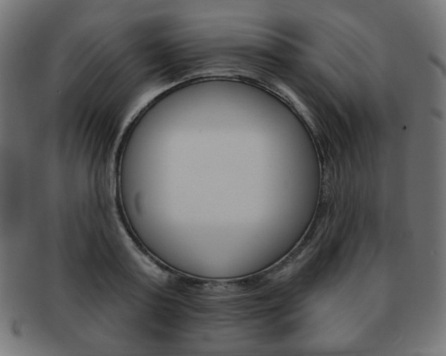 X0000092010795200709061308