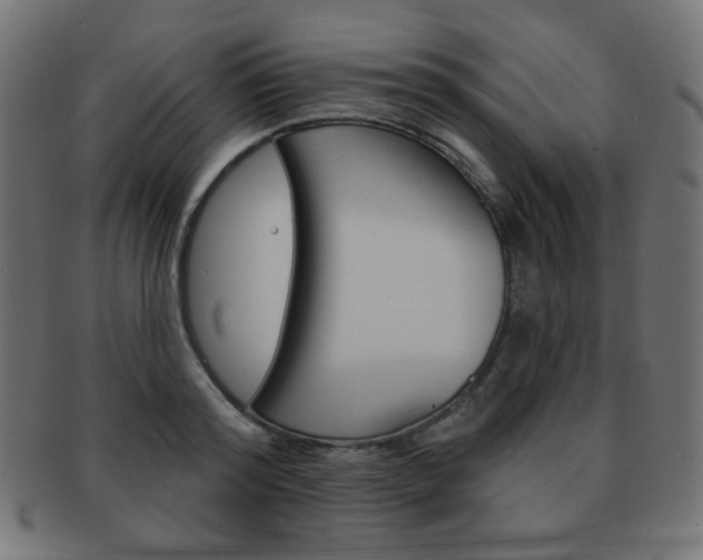 X0000092010796200709061308