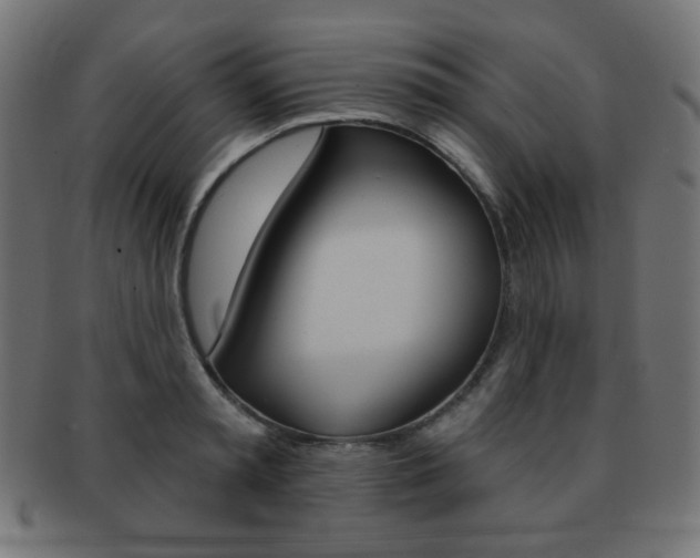 X0000092010797200709061308