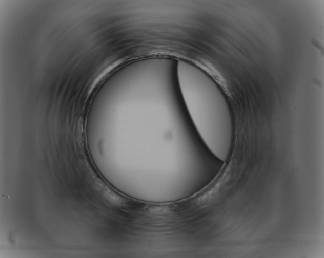 X0000092010798200709061308
