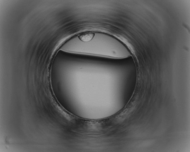 X0000092010799200709061308