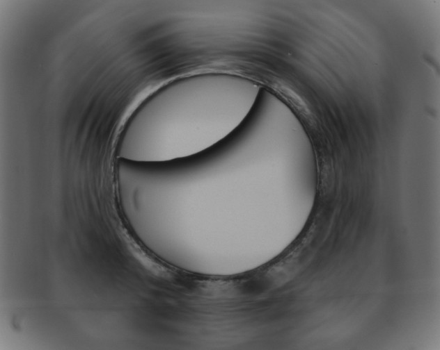 X0000092010800200709061308