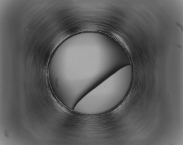 X0000092010802200709061308