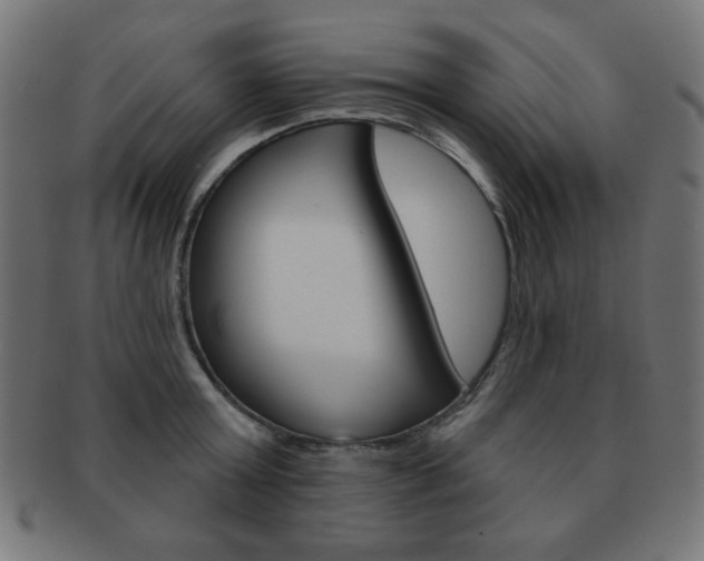 X0000092010803200709061308