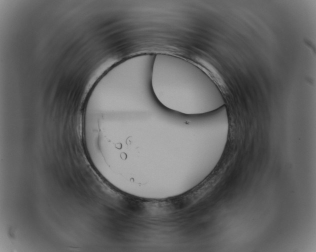 X0000092010804200709061308