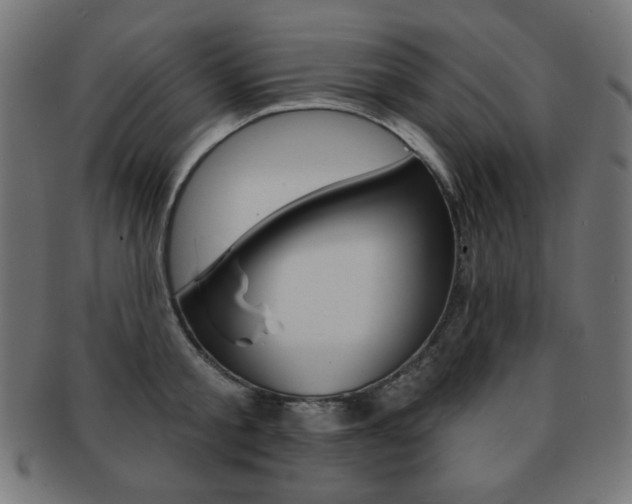 X0000092010805200709061308