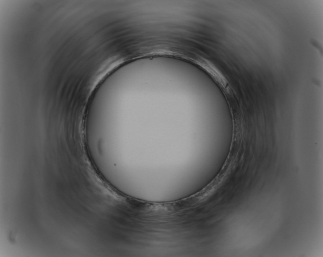 X0000092010806200709061308