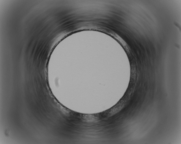 X0000092010807200709061308