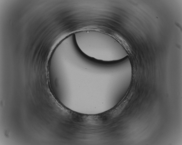 X0000092010808200709061308