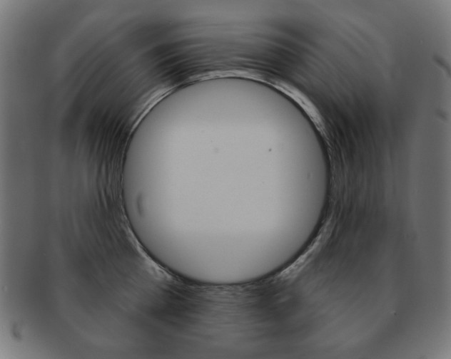 X0000092010809200709061308