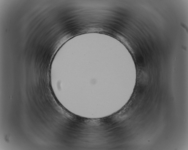 X0000092010810200709061308