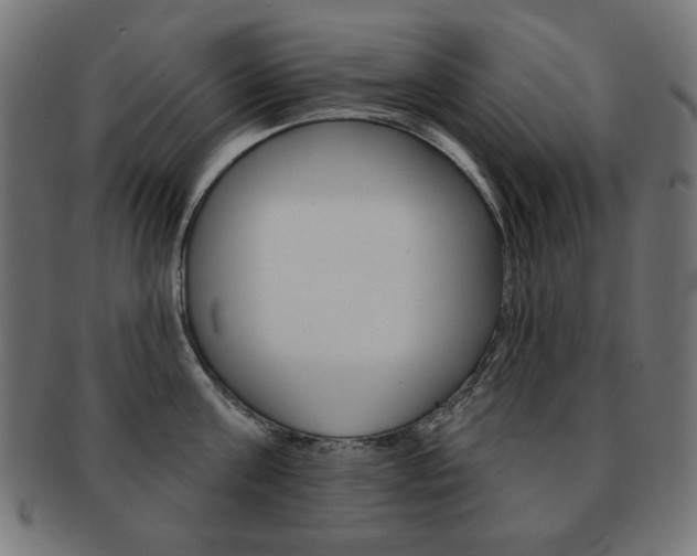 X0000092010811200709061308