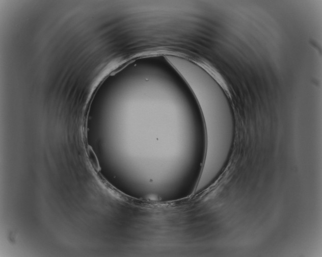 X0000092010813200709061308
