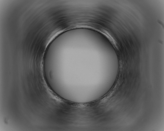X0000092010814200709061308