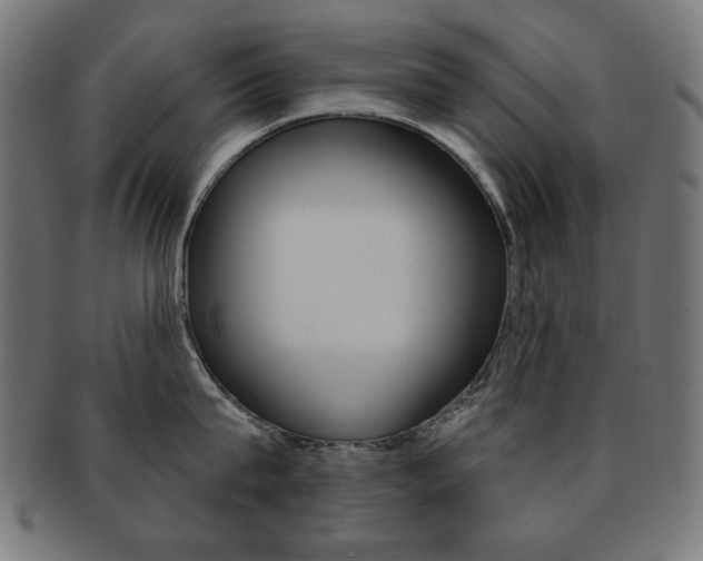 X0000092010815200709061308