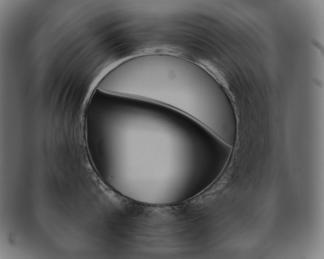 X0000092010816200709061308